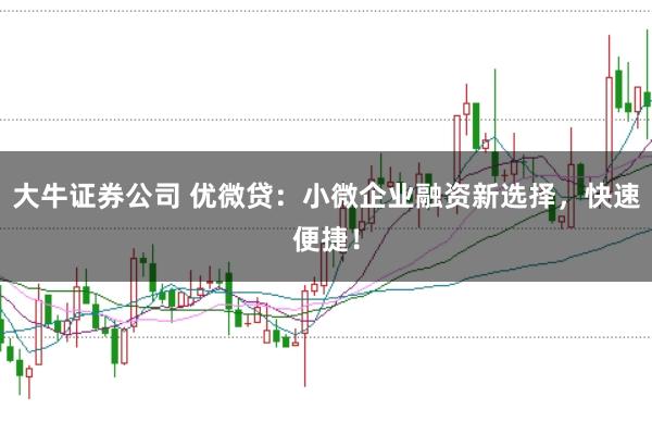 大牛证券公司 优微贷：小微企业融资新选择，快速便捷！