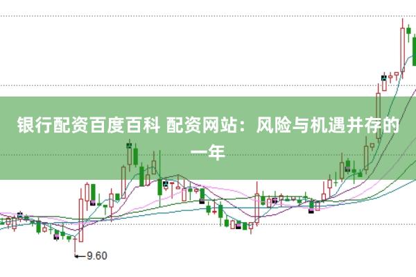 银行配资百度百科 配资网站：风险与机遇并存的一年