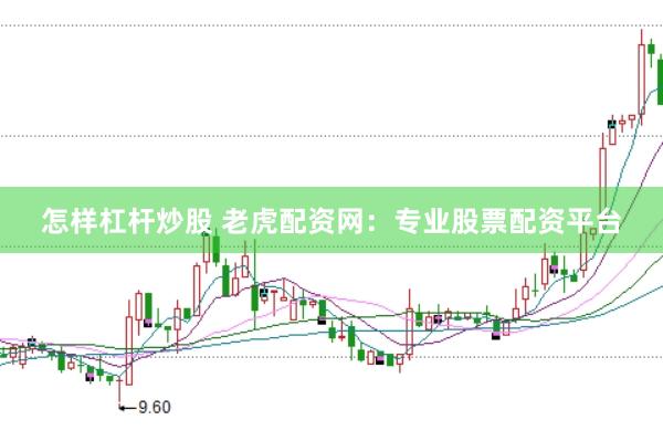 怎样杠杆炒股 老虎配资网:专业股票配资平台