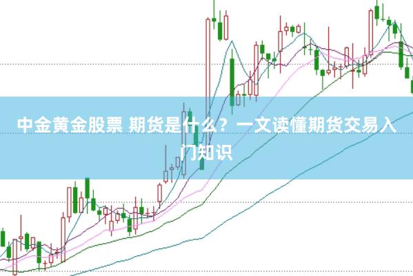 中金黄金股票 期货是什么？一文读懂期货交易入门知识