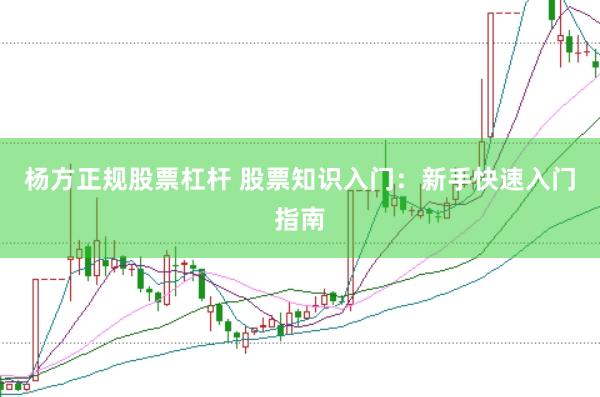 杨方正规股票杠杆 股票知识入门：新手快速入门指南