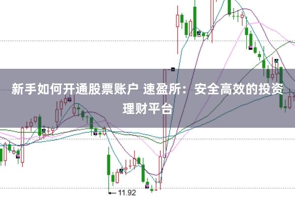 新手如何开通股票账户 速盈所：安全高效的投资理财平台