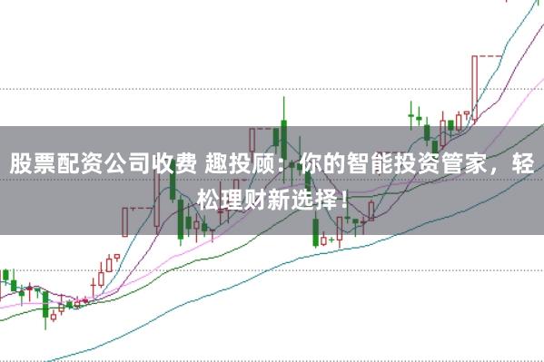 股票配资公司收费 趣投顾：你的智能投资管家，轻松理财新选择！
