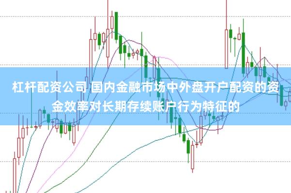 杠杆配资公司 国内金融市场中外盘开户配资的资金效率对长期存续账户行为特征的