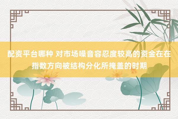 配资平台哪种 对市场噪音容忍度较高的资金在在指数方向被结构分化所掩盖的时期