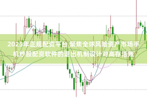 2025年正规配资平台 聚焦全球风险资产市场手机炒股配资软件的退出机制设计对高存活账