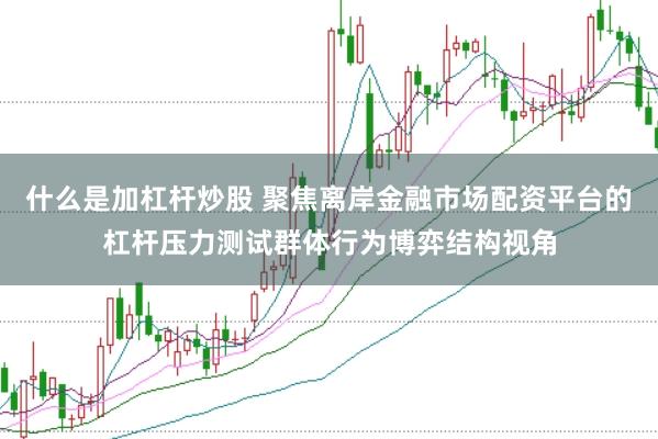 什么是加杠杆炒股 聚焦离岸金融市场配资平台的杠杆压力测试群体行为博弈结构视角