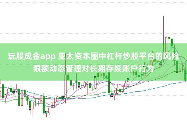 玩股成金app 亚太资本圈中杠杆炒股平台的风险限额动态管理对长期存续账户行为