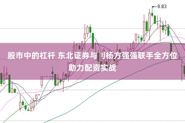 股市中的杠杆 东北证券与刂杨方强强联手全方位助力配资实战