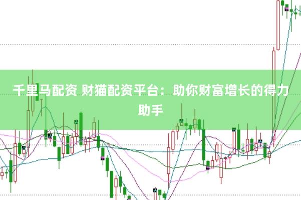 千里马配资 财猫配资平台：助你财富增长的得力助手